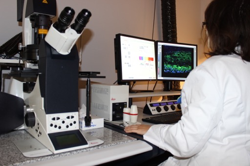 Bionos Biotech increases its turnover and will be present at Cosmetorium Barcelona