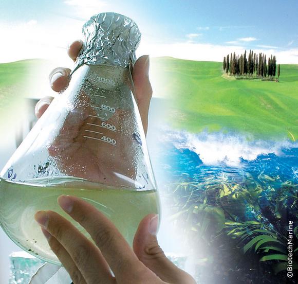 BiotechMarine strengthens values