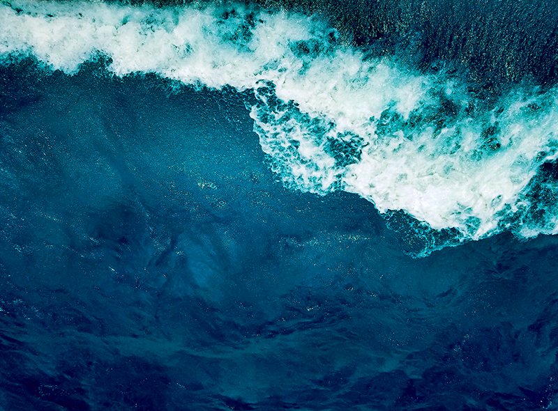 Biotherm ramps up 'save the oceans' goals with new charity partner  