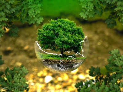 Brands explore anti-pollution benefits of plant extracts