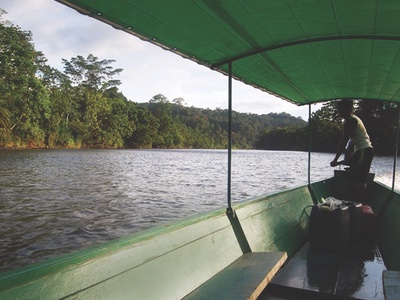 Brazil capitalises on Amazonian biodiversity