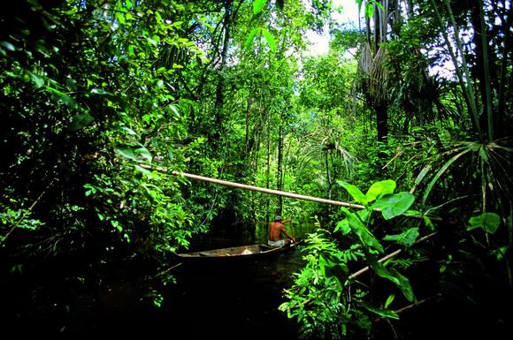 Brazil proves fruitful for L’Occitane  
