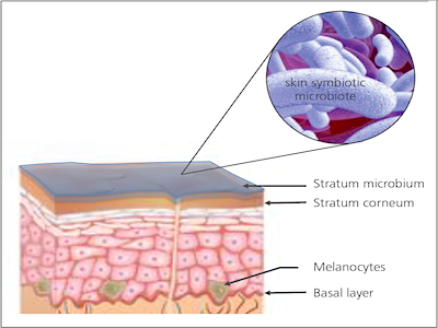 Brightenyl targets skin discoloration