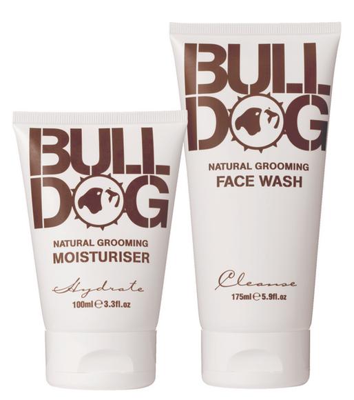 Bulldog is top of the dogs