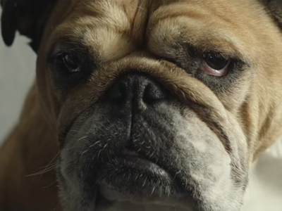 Bulldog Skincare debuts first UK nationwide TV campaign
