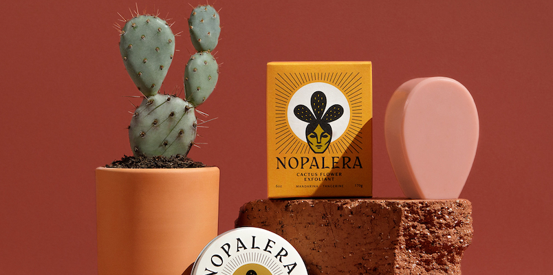 Cactus beauty products are fast becoming a summer must-have
