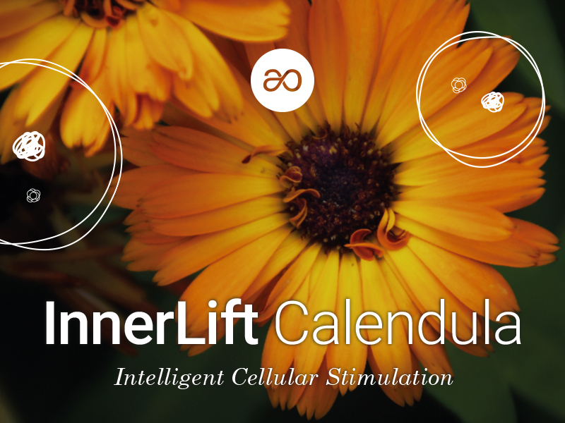 Calendula Cellular Elixir: Alchemy Captured in Naolys’ Cell