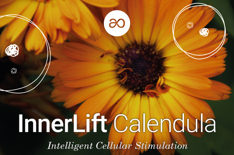 Calendula cellular elixir: Alchemy captured in a cell