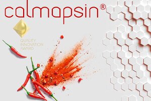 Calmapsin an innovative neurocosmetic ingredient to ameliorate sensitive and irritated skin