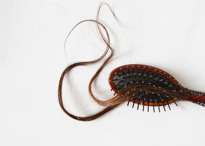 Can fine-tuning stem cell metabolism help stop hair loss?
