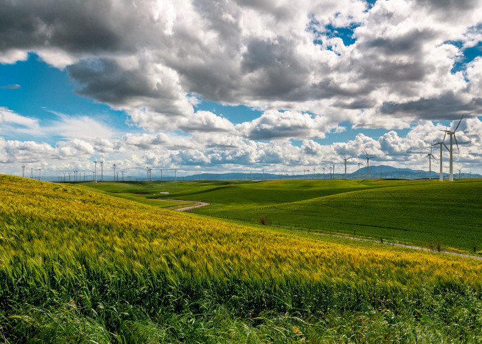 Carbon footprint reduction: Taking the heat off our planet