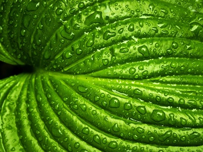 Cargill appoints industry expert to lead personal care expansion
