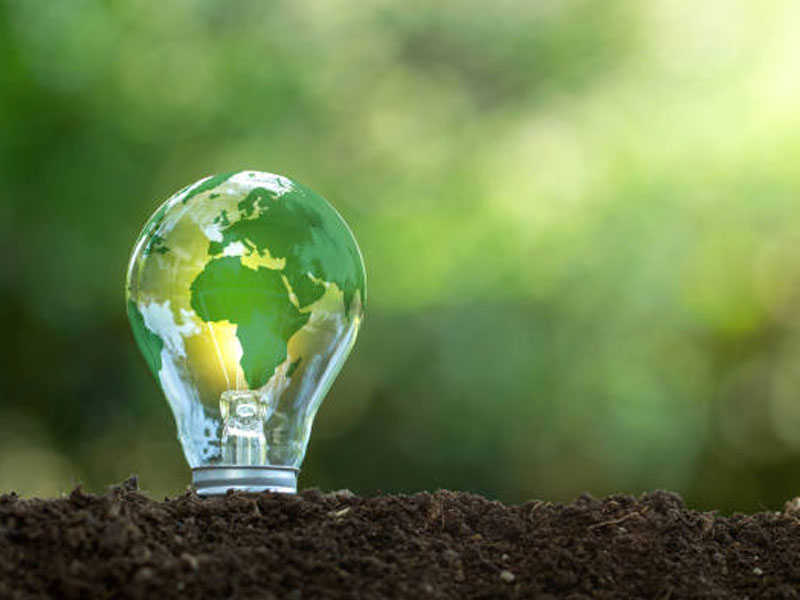 Cargill Beauty announces its latest sustainability initiative: the Jojoba Promise