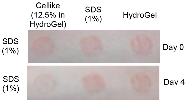 <i>Figure 2. Effects of Cellike on Erythema</i>