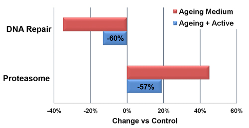 CELLnTEC introduces second generation VitroAge model 