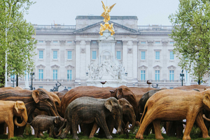 Chantecaille unveils huge public art display in London inspired by elephant conservation