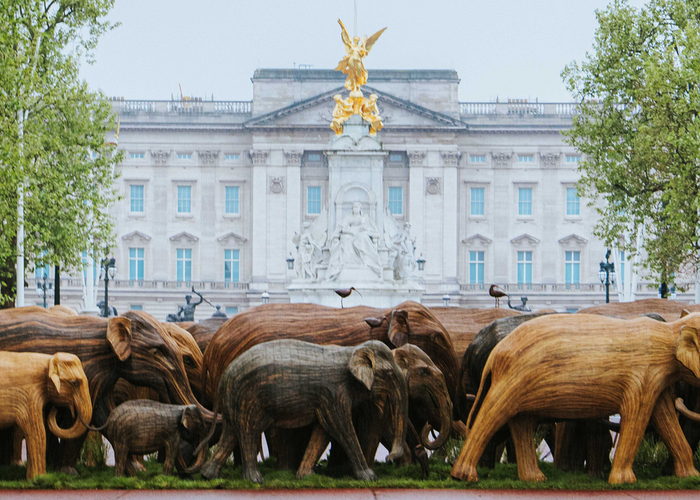 Chantecaille unveils huge public art display in London inspired by elephant conservation
