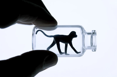 China edges closer to ending animal testing for cosmetics