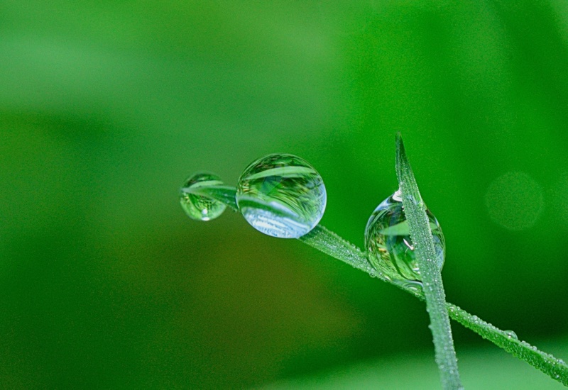 Clariant and India Glycols close JV for renewable ethylene oxide derivatives  
