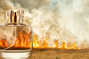 Climate change is hitting fragrance ingredients. How are perfumers responding?