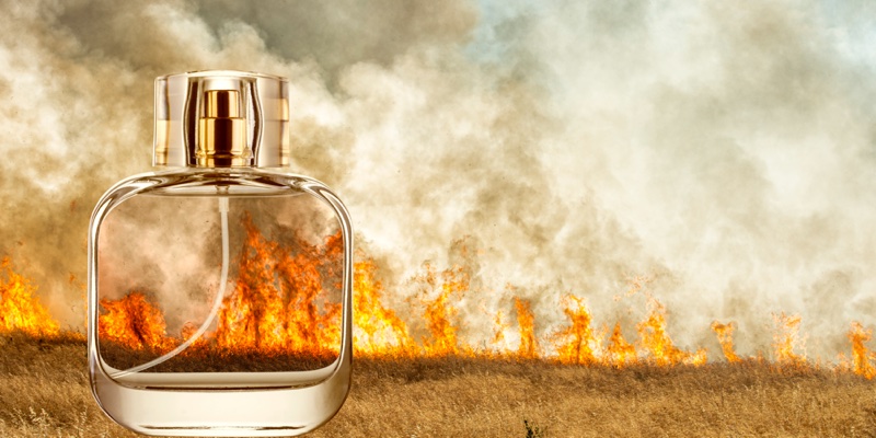 Climate change is hitting fragrance ingredients. How are perfumers responding?