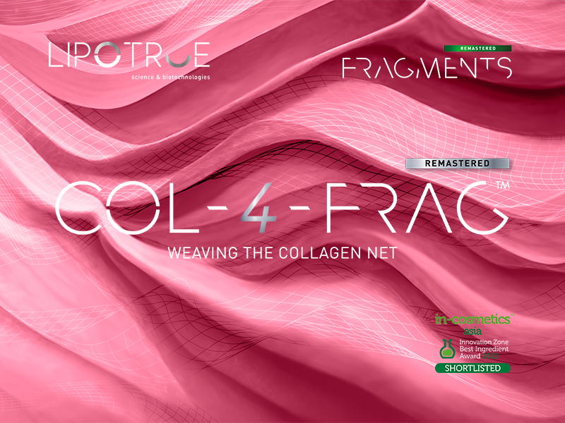 Col-4-Frag remastered, weaving the collagen net