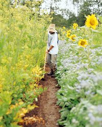 Company profile – Dr Hauschka