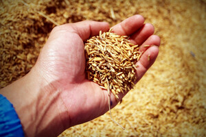 Consumers more likely to buy organic with move to online shopping
