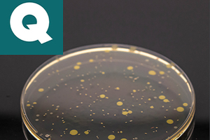 Cosmetic Challenge Tests - QACS, The Challenge Test Lab