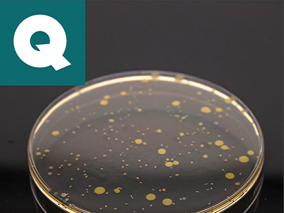 Cosmetic Challenge Tests - QACS, The Challenge Test Lab