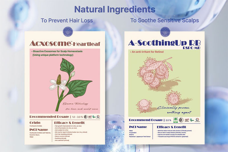 Cosmetic ingredients proposed by Activon in line with the 'Hair Longevity' trend