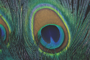 Cosmetic science faces the future