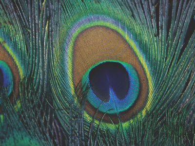 Cosmetic science faces the future