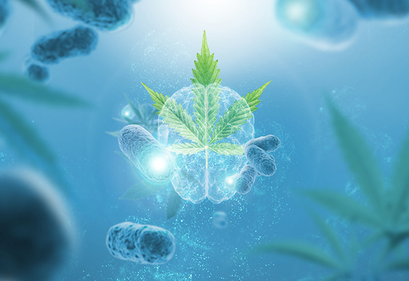 Cosmetics Business in conversation with Vytrus Biotech 
