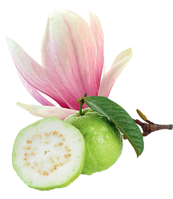 Cosphatec introduces innovative ingredient Cosphaderm GMG