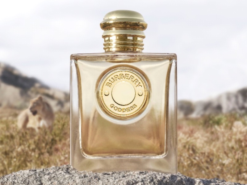 Coty growth fuelled by prestige fragrance sales, while mass beauty declines