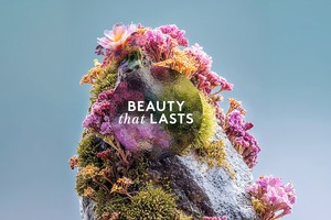 Coty’s 2025 sustainability report key takeaways: from ingredients checker to fragrance refills