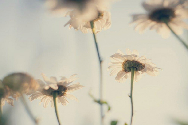 CPL Aromas launches its 2023 Sustainability Report