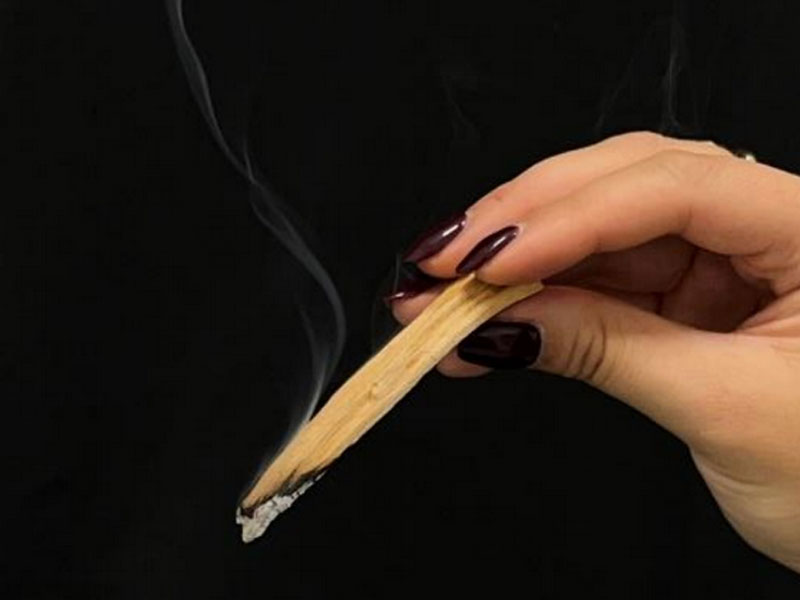 CPL Aromas launches new addition to its AromaSpace collection: introducing Palo Santo