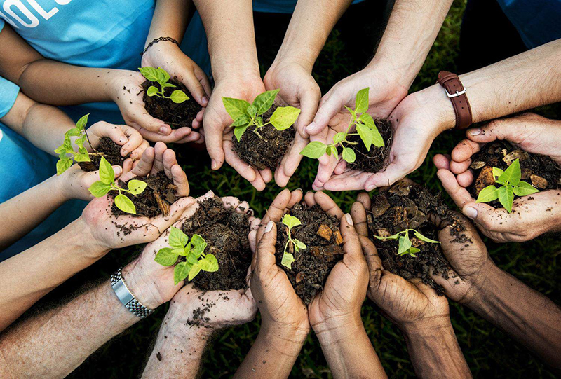 Croda hosts its first Digital Sustainability Conference
