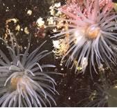 Croda signs marine research collaboration deal