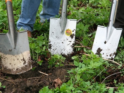 Croda starts work on sustainable plant