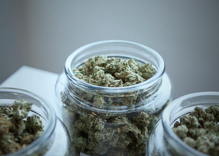 D’open for business: New CBD retailer The Chillery enters digital space 