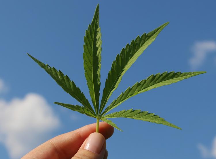 Demand for CBD skin care jumps 20% 