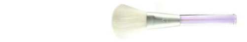 Designed For Beauty: Anisa International Debuts Cutting-Edge and Trend-Inspired Cosmetic
Brush Collections at Cosmoprof Worldwide Bologna