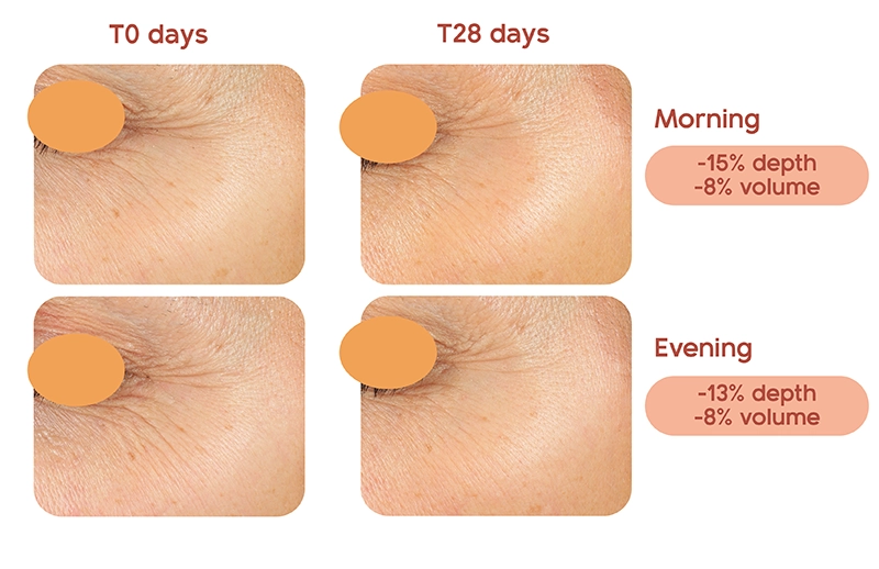 Discover Poptide, the cyclic peptide that restores order to the skin