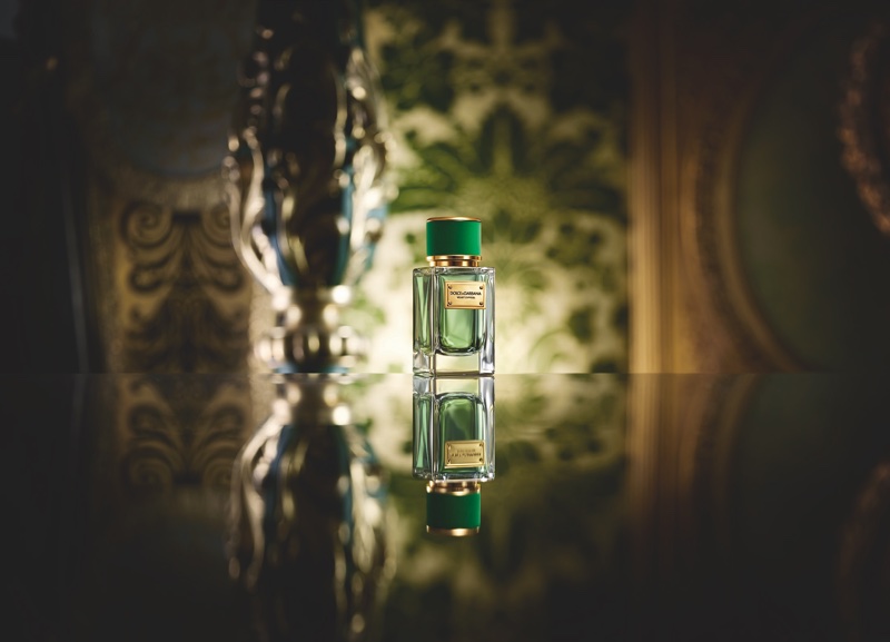 Dolce & Gabbana announces launch of Velvet Cypress fragrance