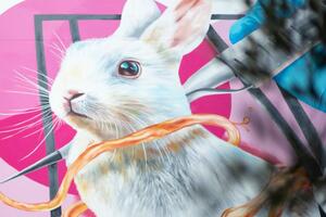 Dove and The Body Shop join forces to call upon consumers to fight for cruelty-free cosmetics in Europe