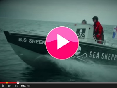Dr Bronner's partners with Sea Shepherd