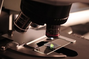 Dr. Straetmans strikes distribution deal in Russia